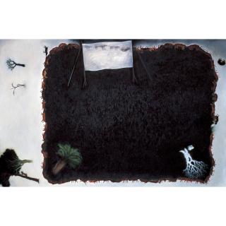 Su Wangshen - Two Sides Of The Fence