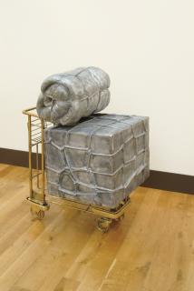 Subodh Gupta - Dubai to Calcutta #19