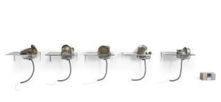 Subodh Gupta - Jootha