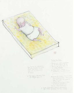 Sue Macartney-Snape - The New Born Baby