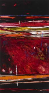 Sujata Bajaj - Beyond