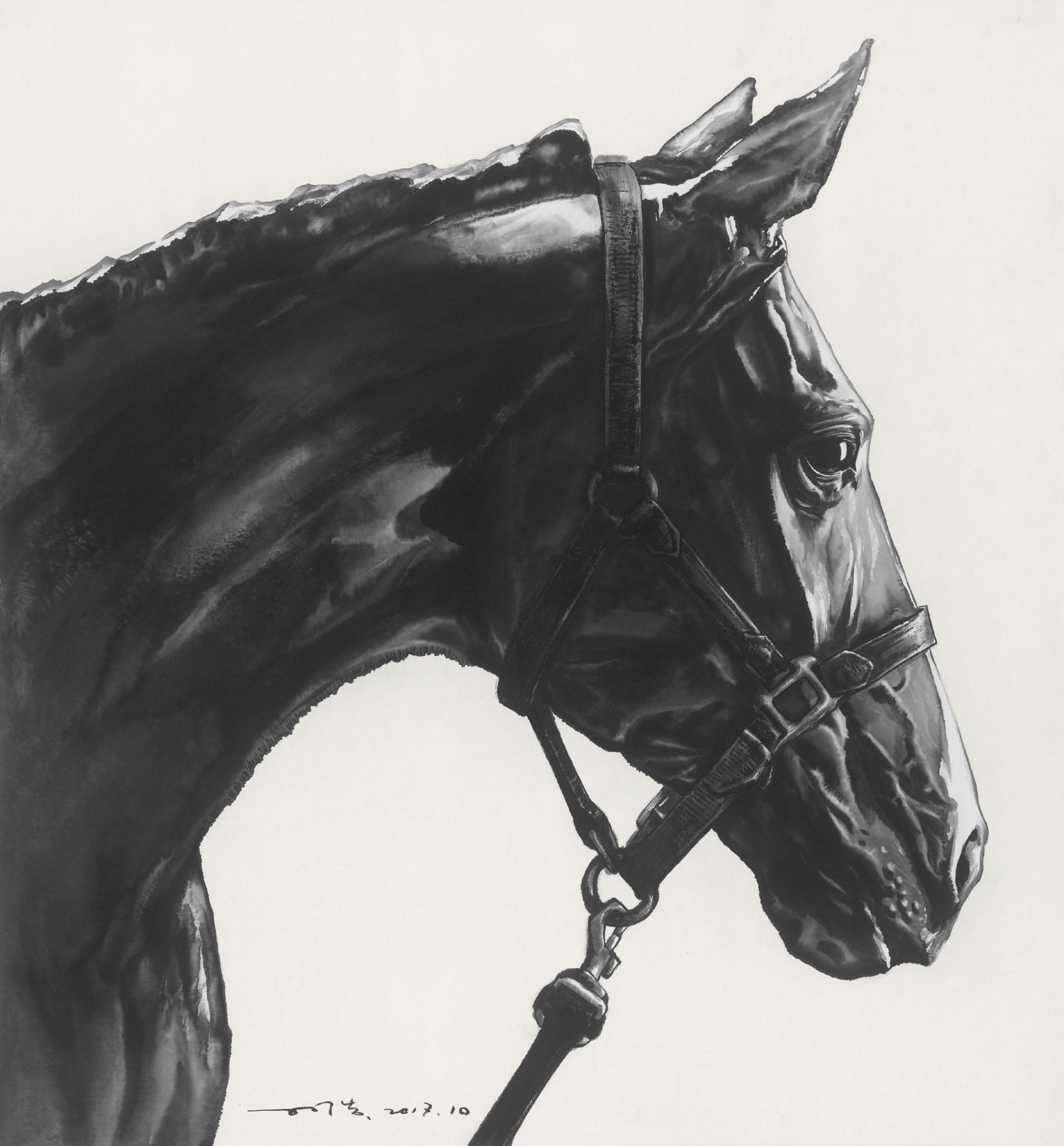 Sun Hao - Bathed in Light