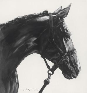 Sun Hao - Bathed in Light