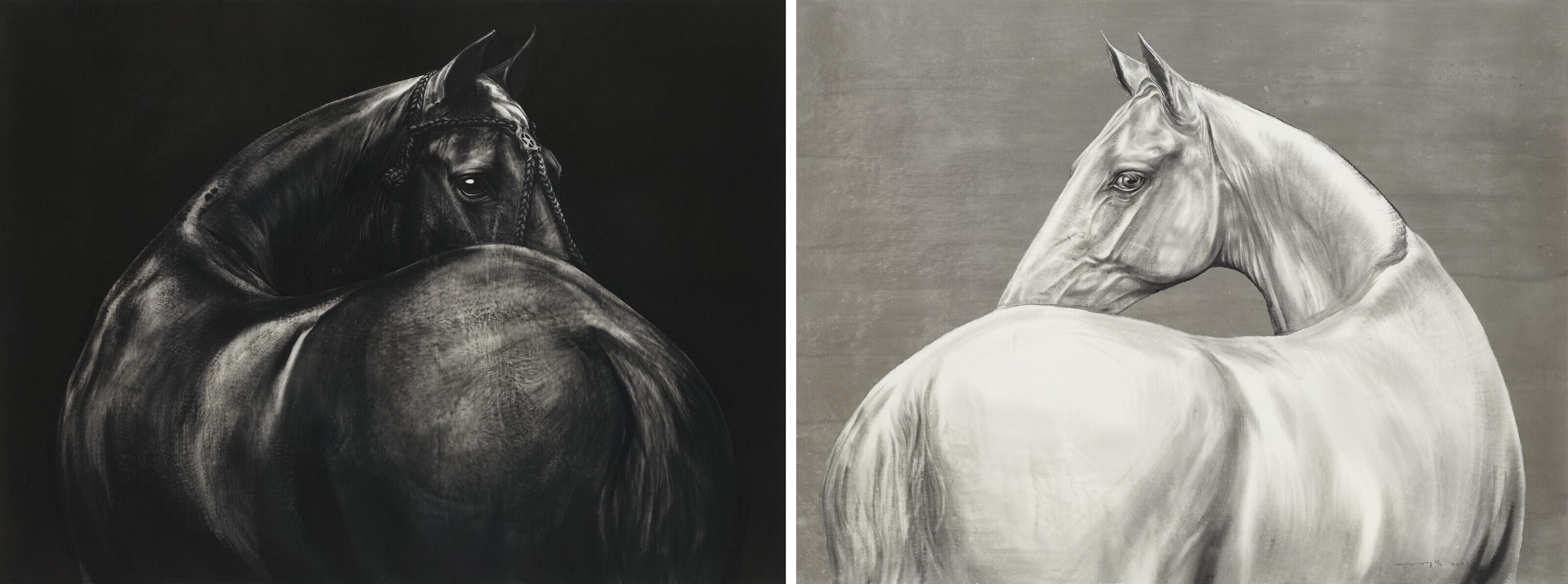 Sun Hao - Black Horse, White Horse