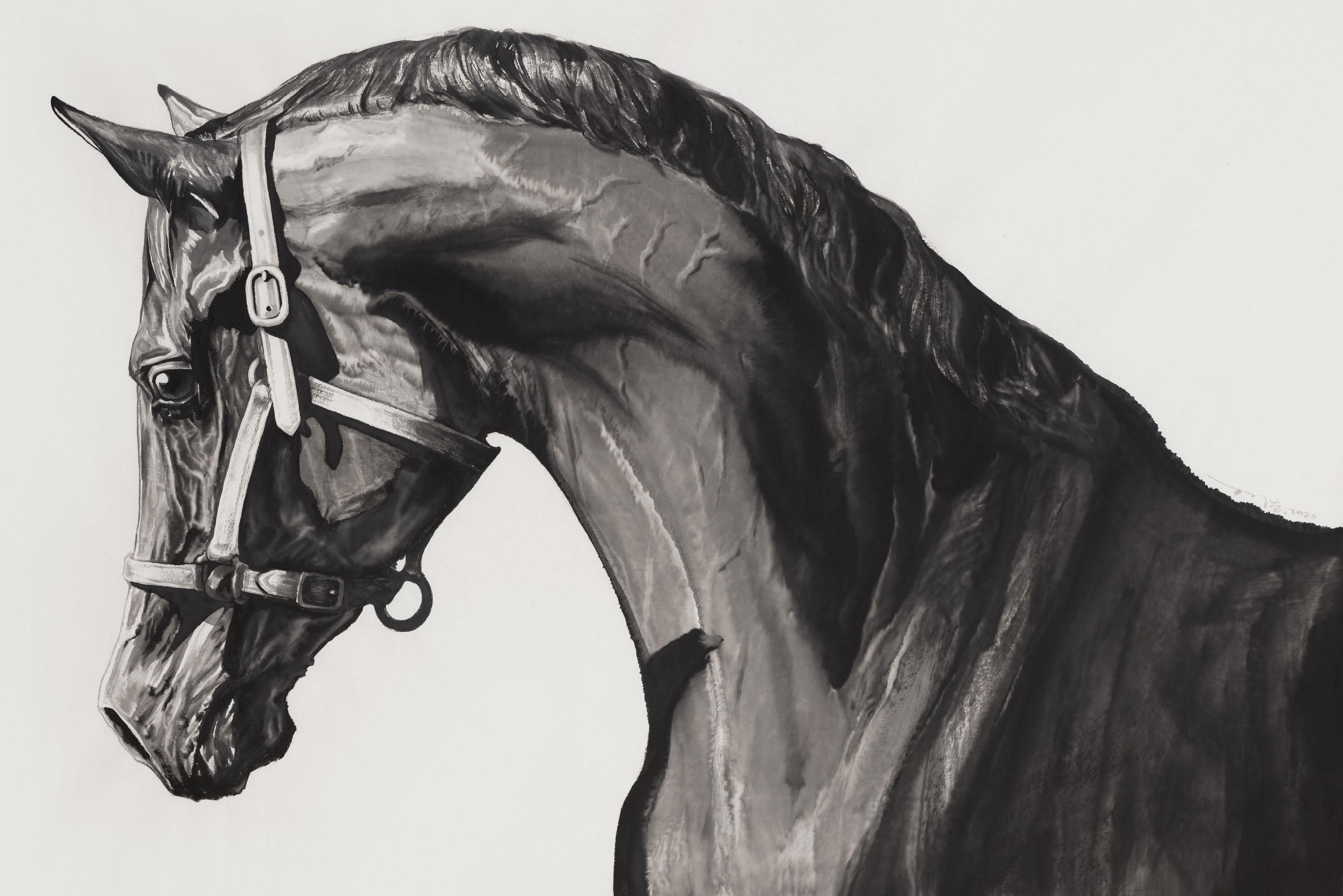 Sun Hao - Bright Sky