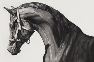 Sun Hao - Bright Sky