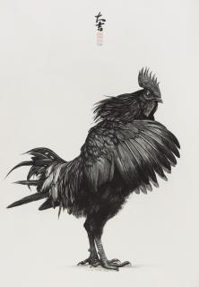 Sun Hao - Rooster