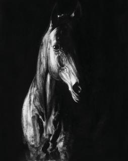 Sun Hao - The Brightest Star