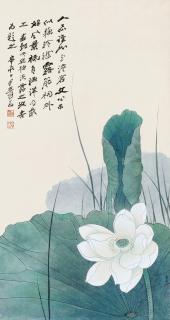 Sun Jiaqin - Lotus