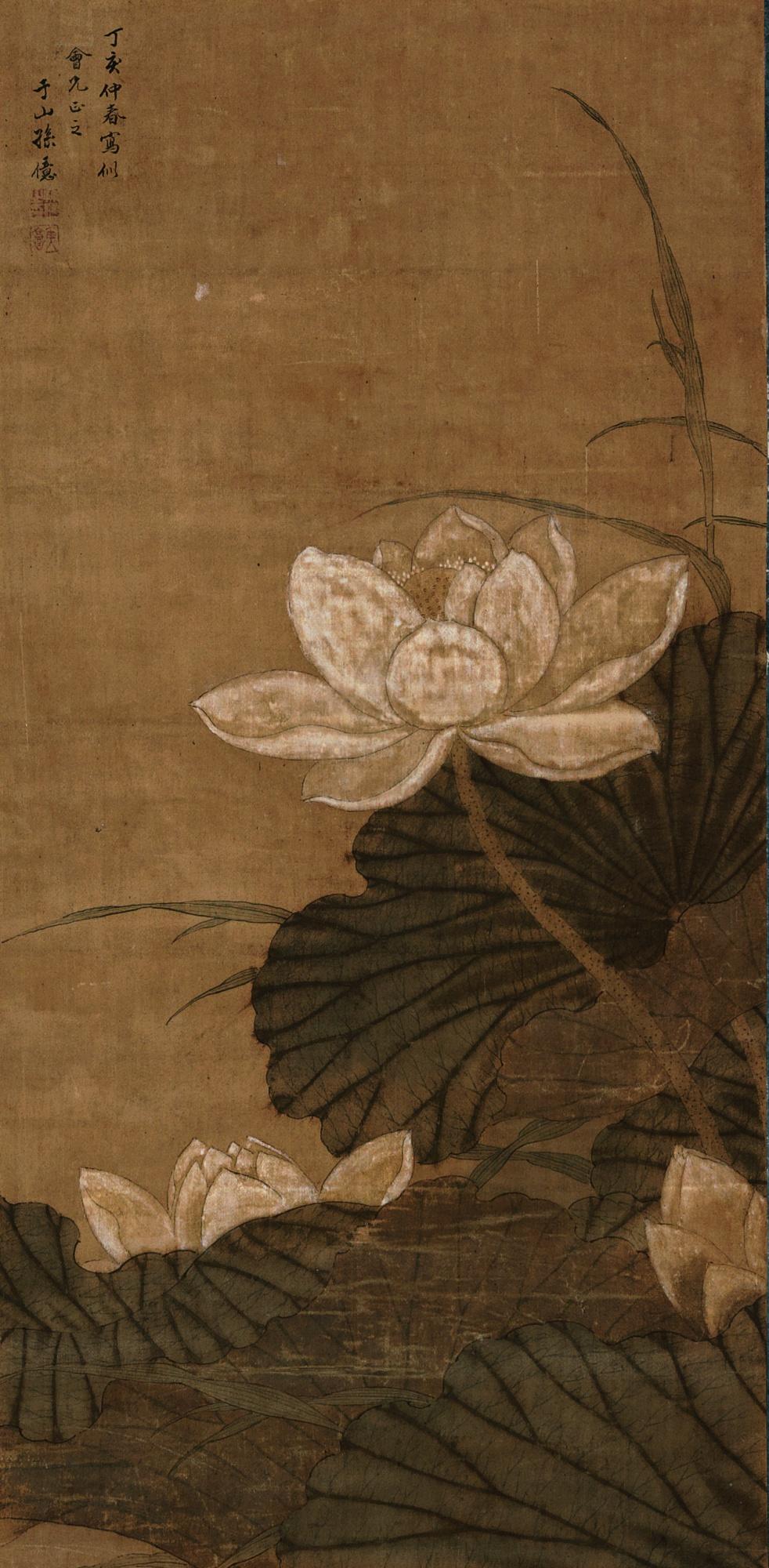Sun Yi - Lotus