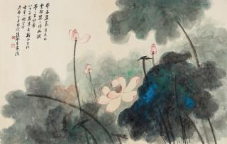 Sun Yunsheng - Lotus
