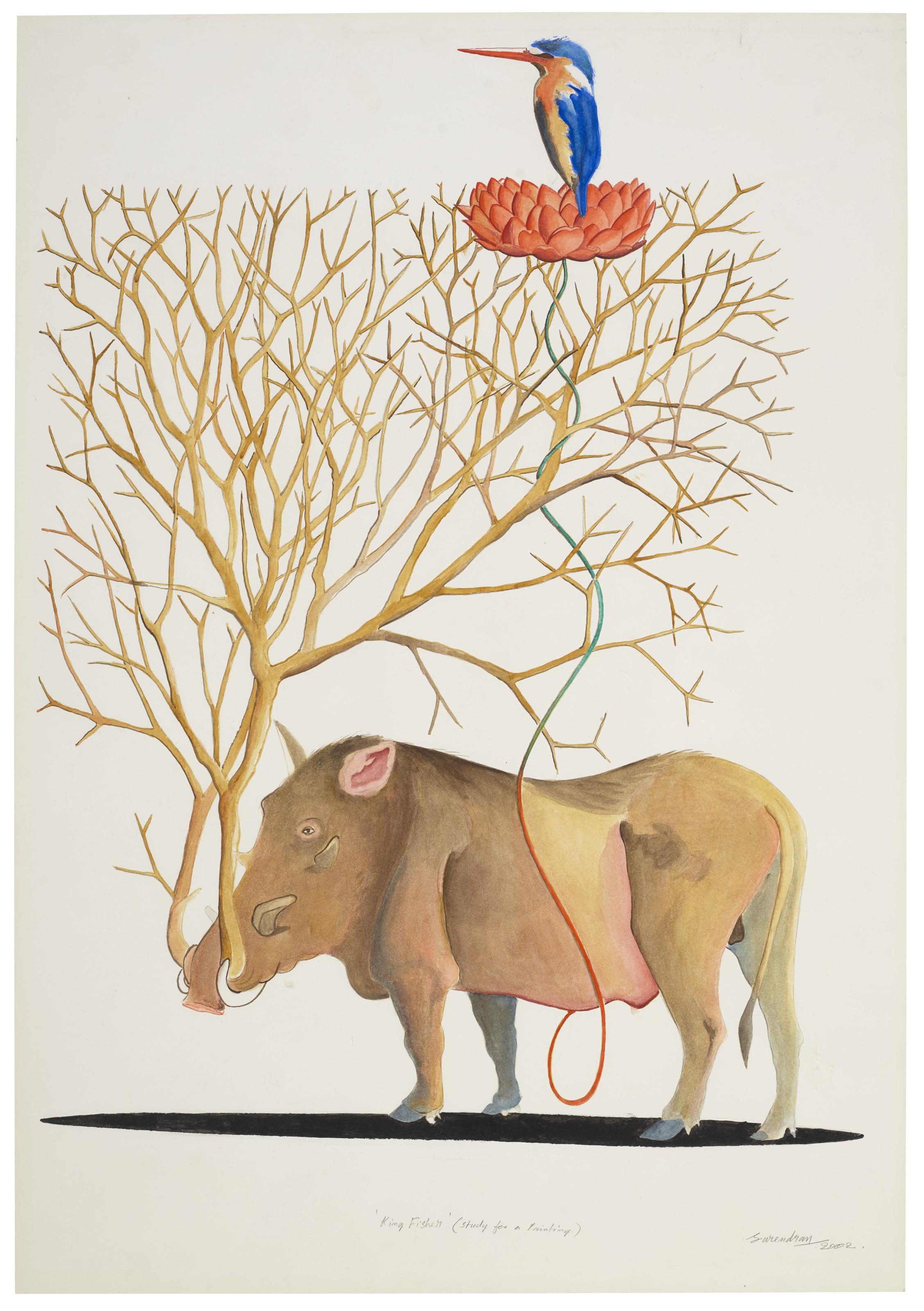 Surendran Nair - King Fisher (Study For A Painting)