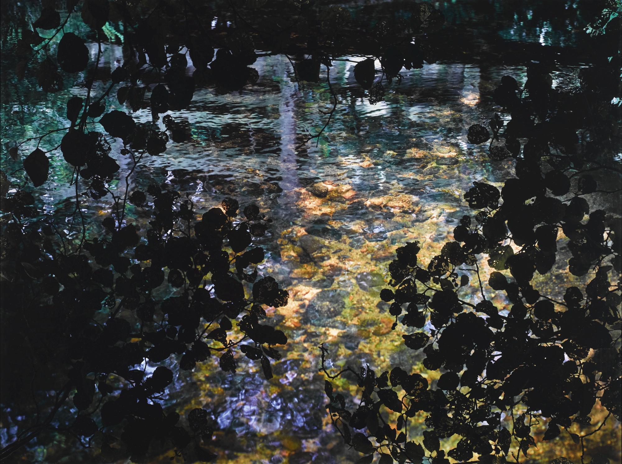 Susan Derges - Alder Brook I,  2011