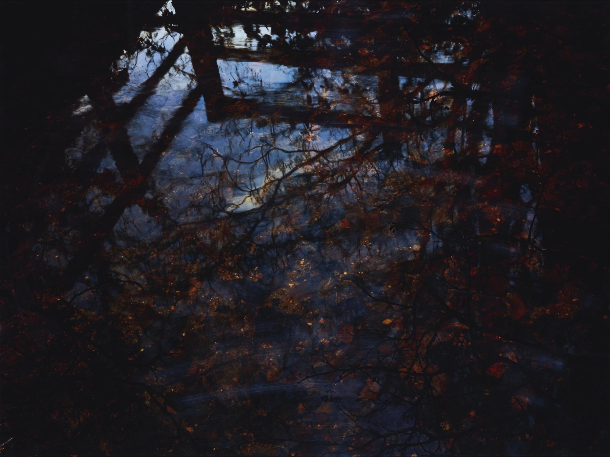 Susan Derges - Red Brook, 2012
