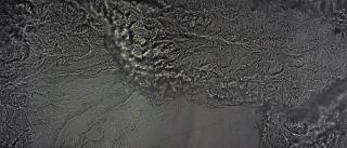 Susan Derges - River Taw\'