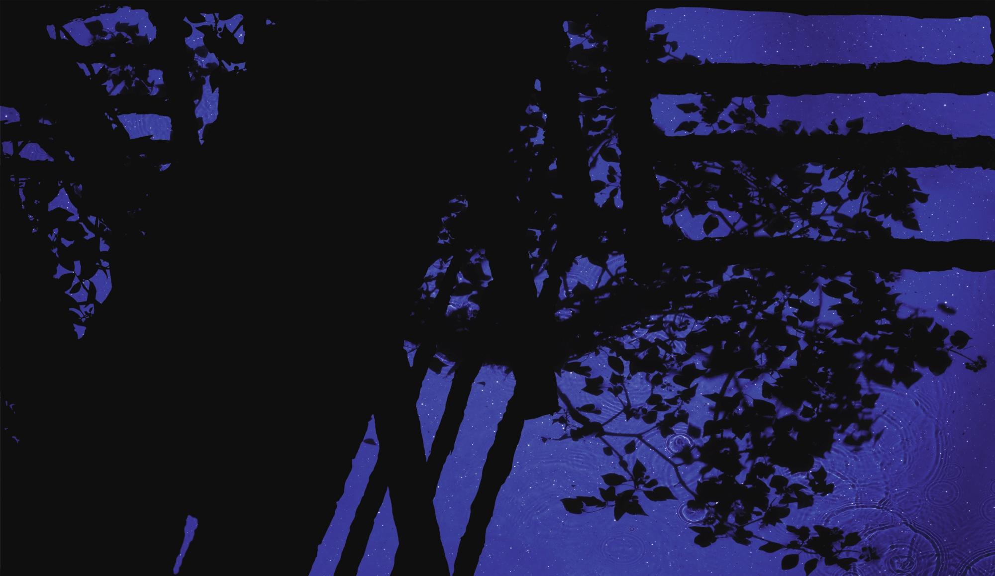 Susan Derges - Star Field Bridge