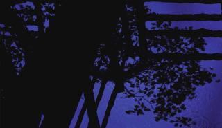 Susan Derges - Star Field Bridge