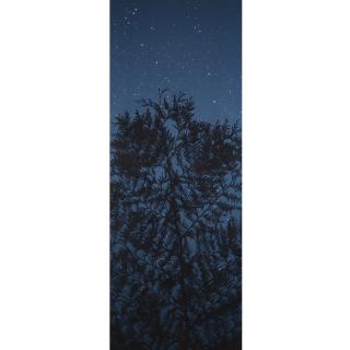 Susan Derges - Starfield - Cypress  