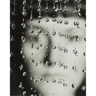 Susan Derges - \'The Observer And The Observed No. 13\'