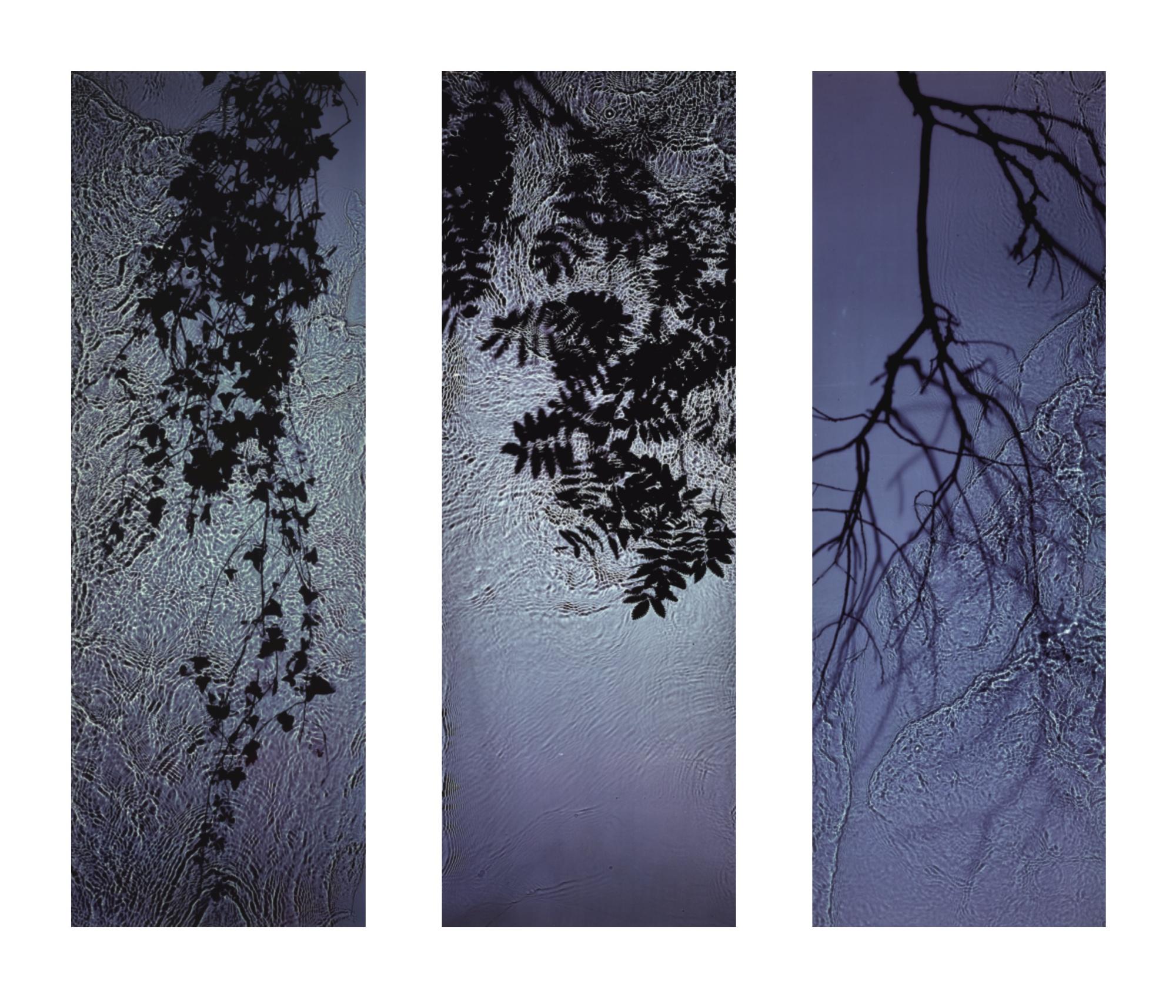 Susan Derges - \'Untitled\', C. 1997