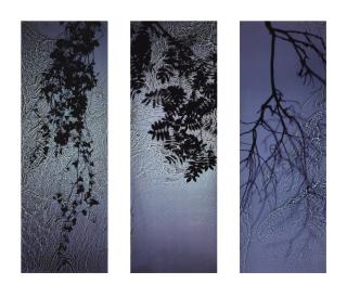 Susan Derges - \'Untitled\', C. 1997