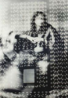 Susan Hefuna - Woman Behind a Masrhibiyya