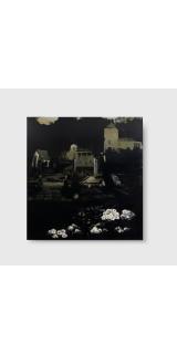 Susan Norrie - Be Seeing You (A Change of Mind), 2006