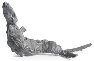 Susan Rothenberg - Fish