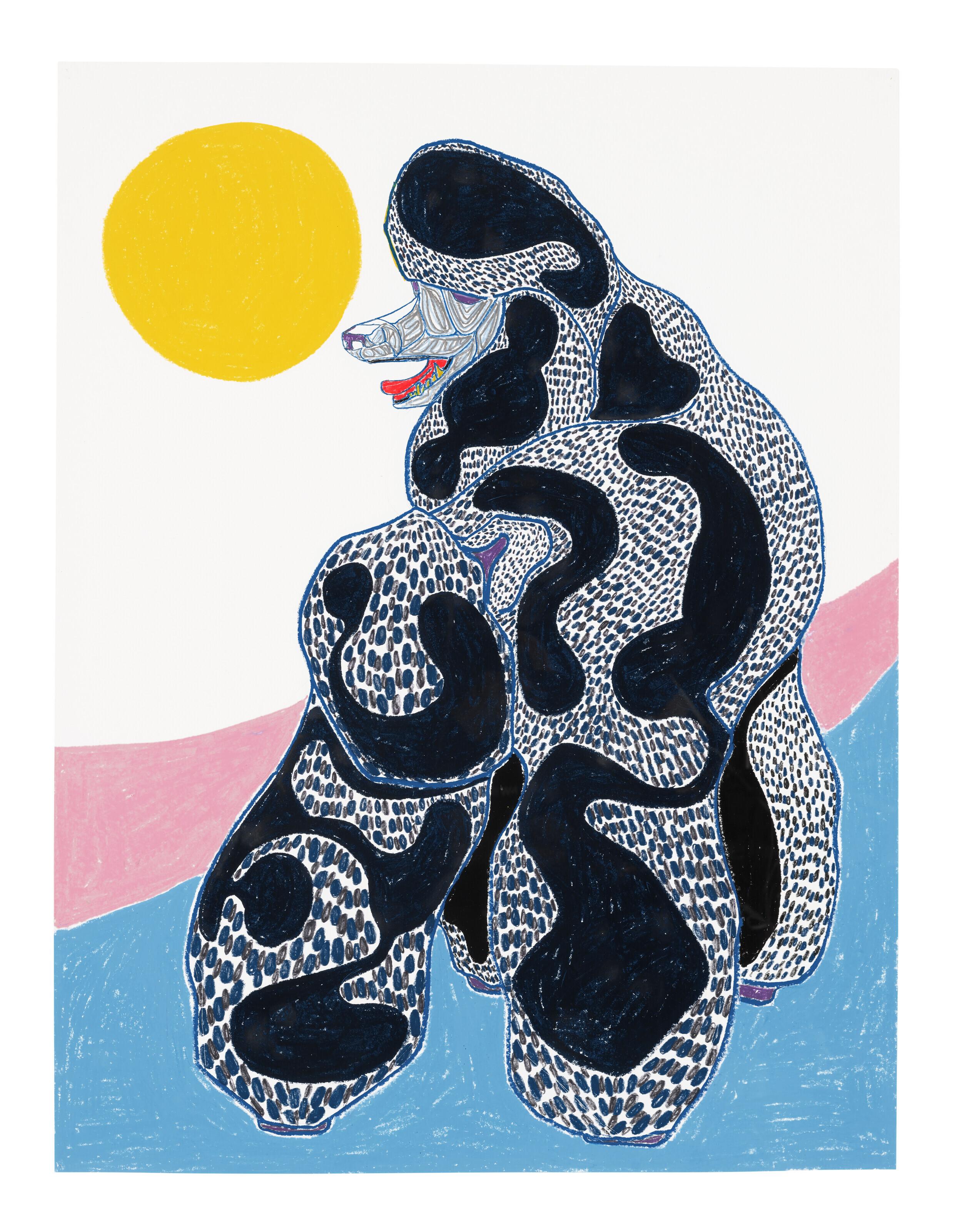 Susumu Kamijo - The Lucid Spring