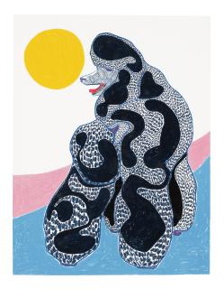 Susumu Kamijo - The Lucid Spring