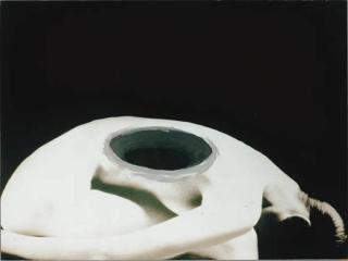 Susy Gómez - Untitled