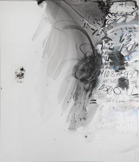 Suzanne Mcclelland - Domestic Terrorist; Dibee