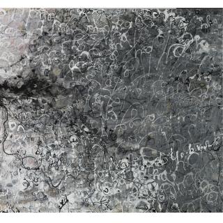 Suzanne McClelland - Zohnafloh