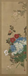 Suzuki Kiitsu - Hydrangea, Lily and Hollyhock