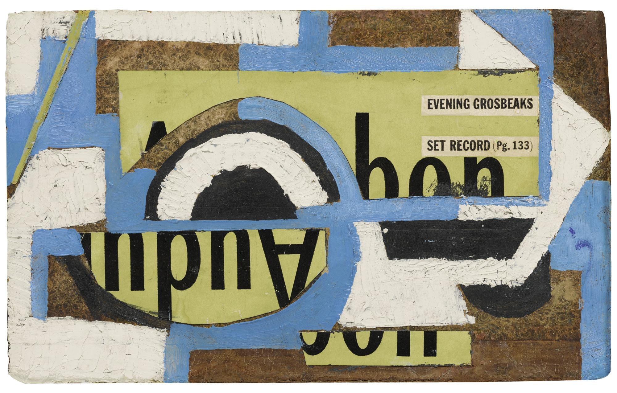 Suzy Frelinghuysen - Evening Grosbeaks Set Record