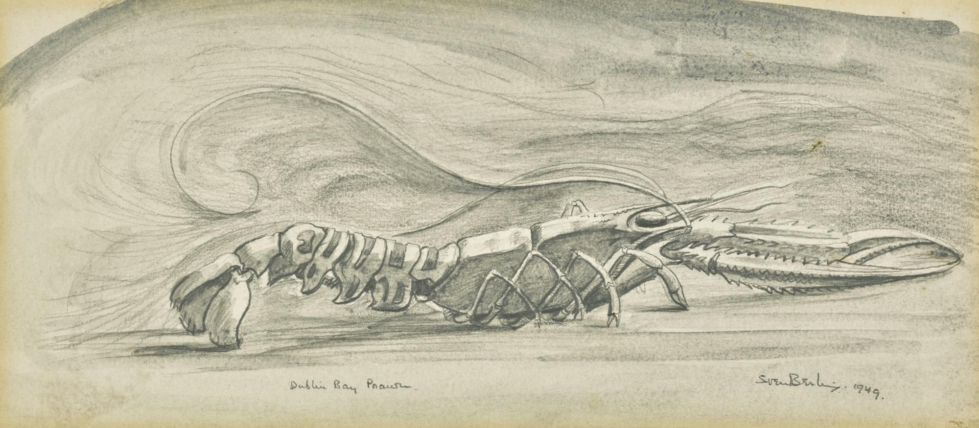 Sven Berlin - Dublin Bay Prawn