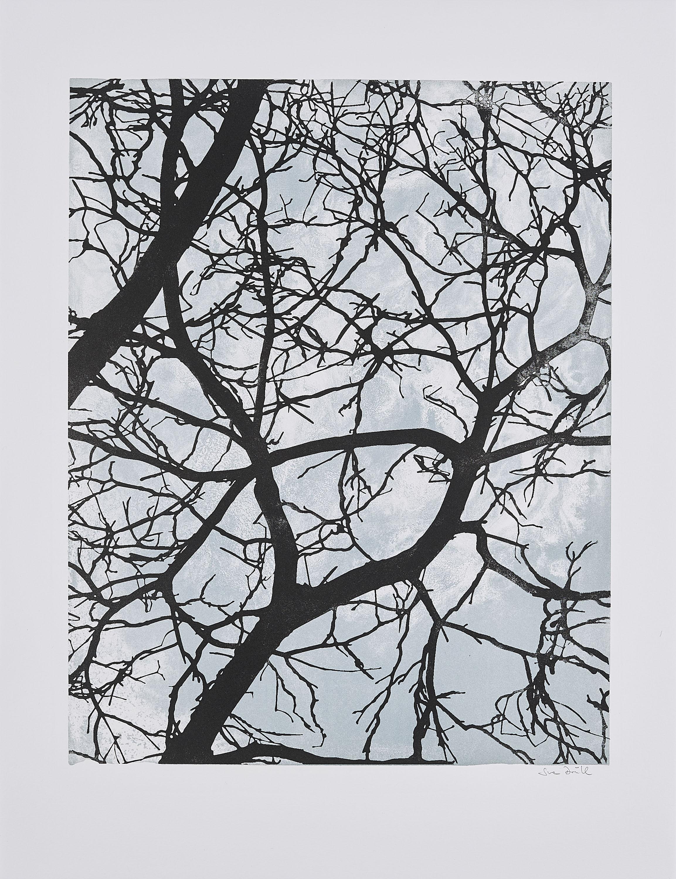 Sven Drühl - SDHH I.