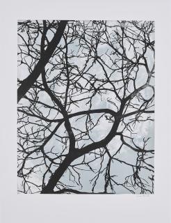 Sven Drühl - SDHH I.