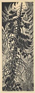 Sybil Andrews - Western Red Cedar: The Passage of Time  (black)