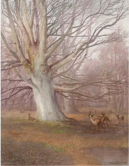 Sydney Herbert - Deer in a beech wood