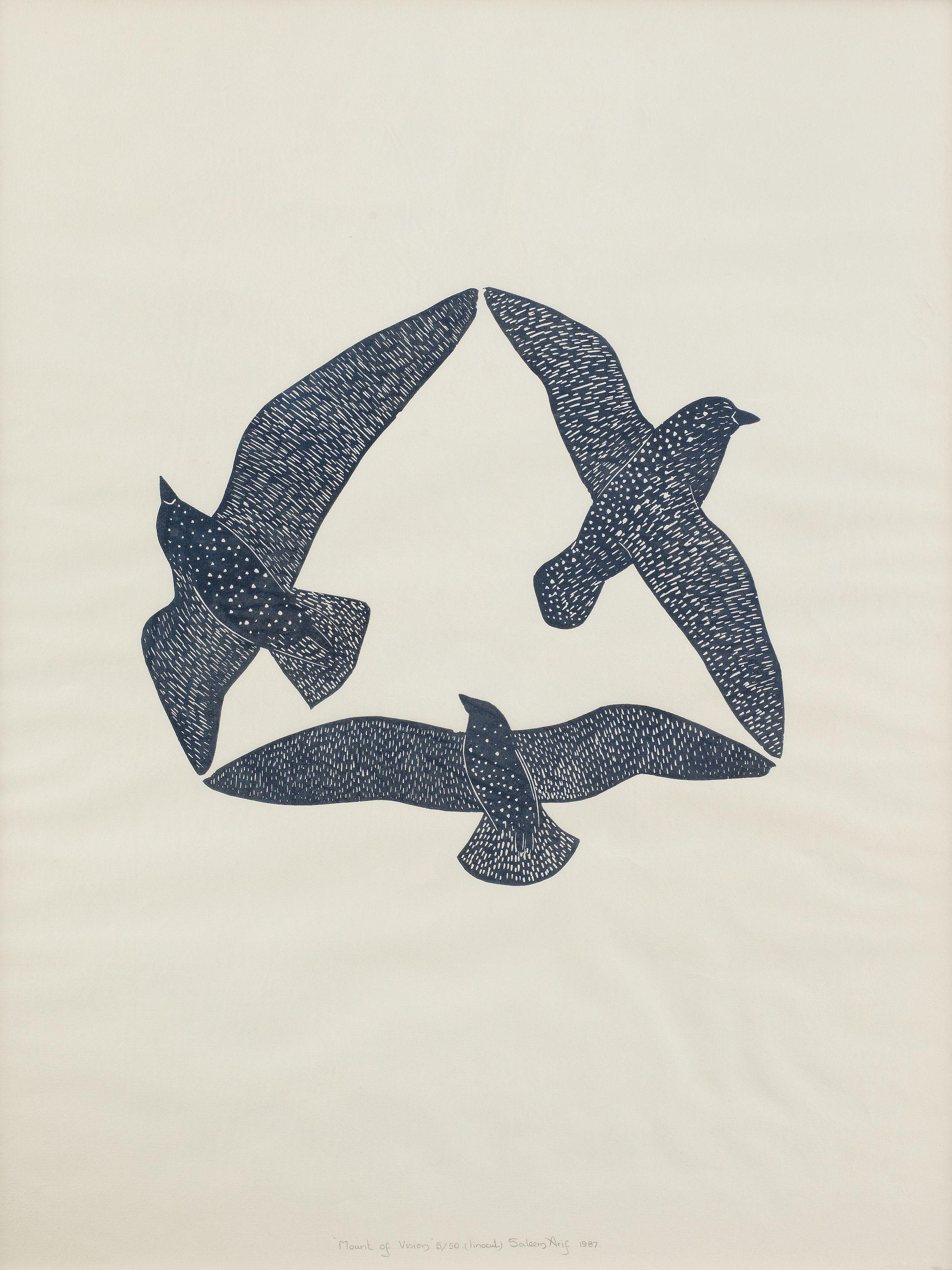 Syed Saleem Arif Quadri - Mount of Vision