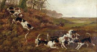 Sylvester Martin - Mockley Wood; and Forshaw Park