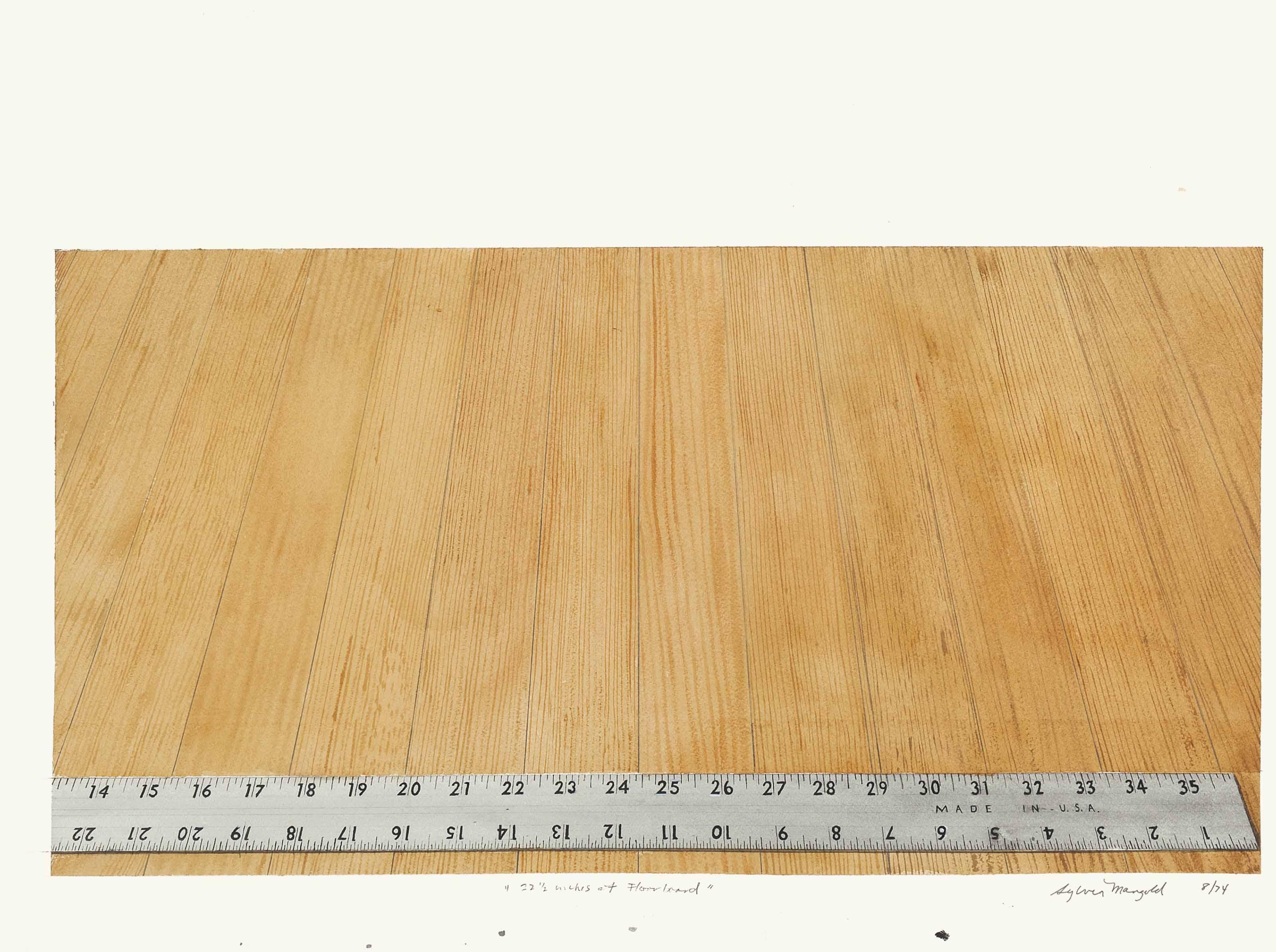 Sylvia Plimack Mangold - 22 1/2 inches of Floorboard