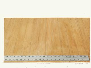 Sylvia Plimack Mangold - 22 1/2 inches of Floorboard