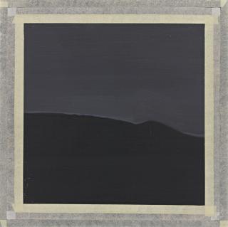 Sylvia Plimack Mangold - Contour