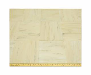 Sylvia Plimack Mangold - Golden Rule on Light Floor