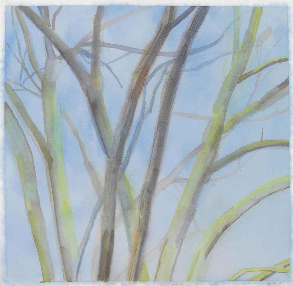 Sylvia Plimack Mangold - The Elm Tree (4/96)