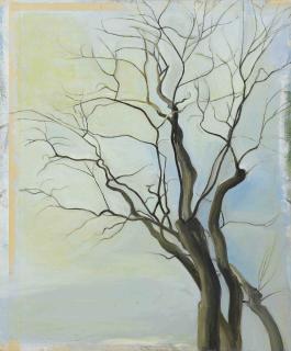 Sylvia Plimack Mangold - The Locust Trees