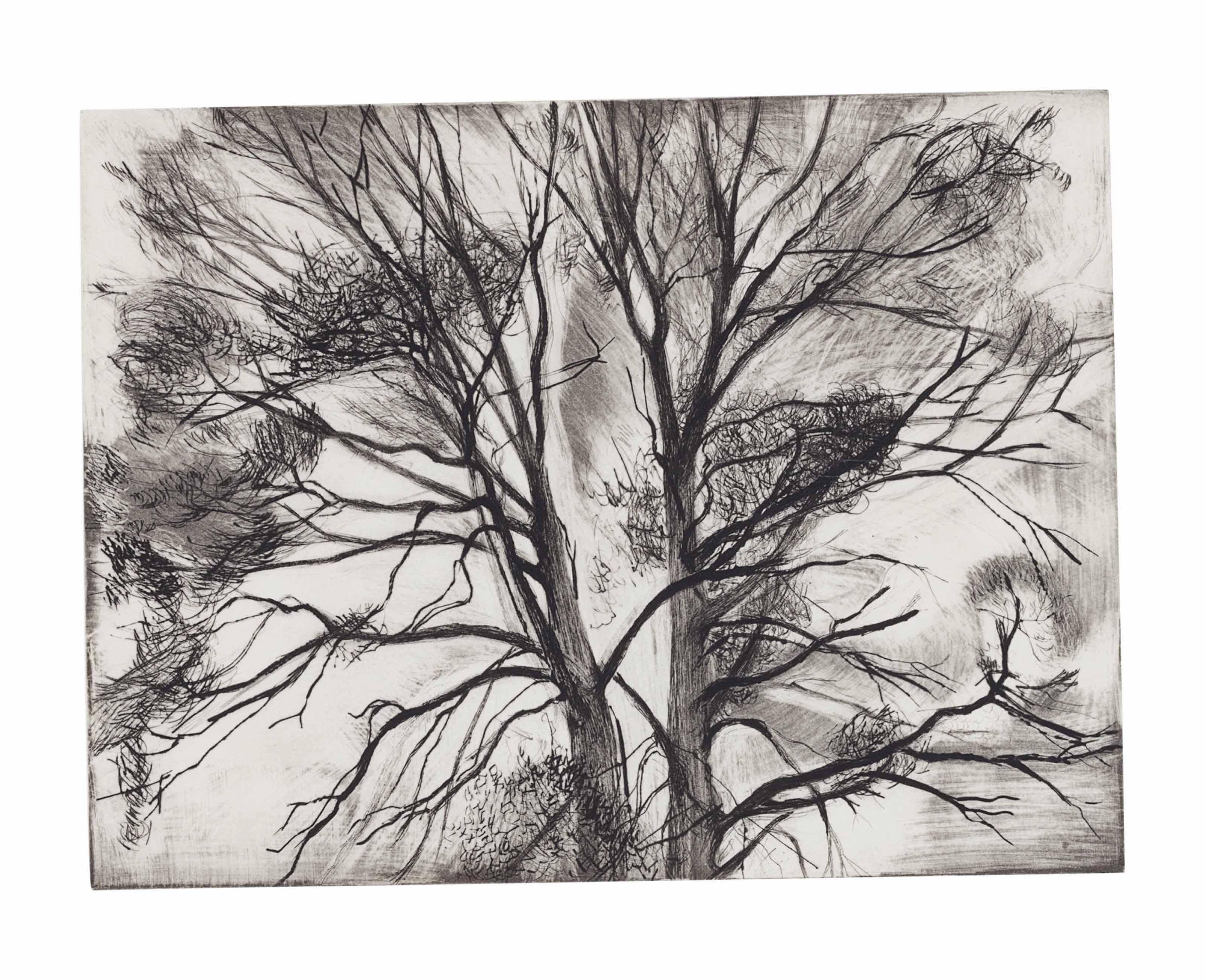 Sylvia Plimack Mangold - The Pin Oak