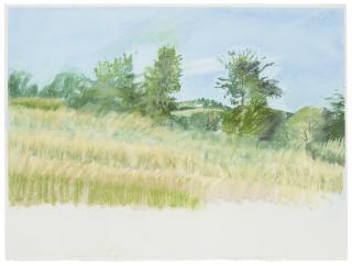 Sylvia Plimack Mangold - Untitled